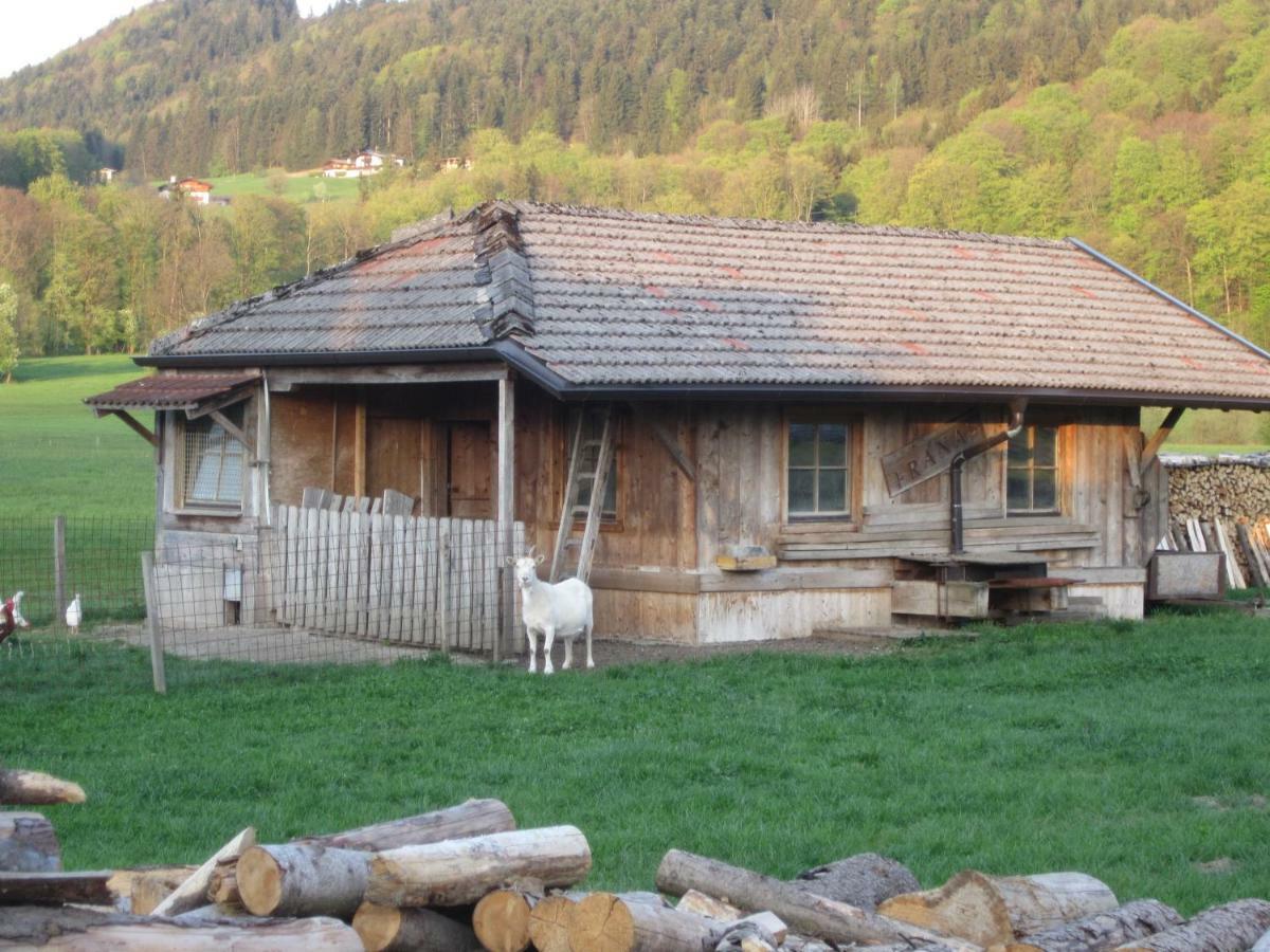 Apartament Piccolo